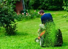 Kwikfynd Lawn Mowing
benbournie