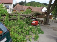 Kwikfynd Tree Cutting Services
benbournie