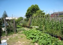 Kwikfynd Vegetable Gardens
benbournie
